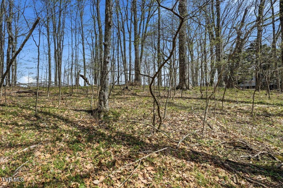 Photo #7: Tbd Log Cabin Lane