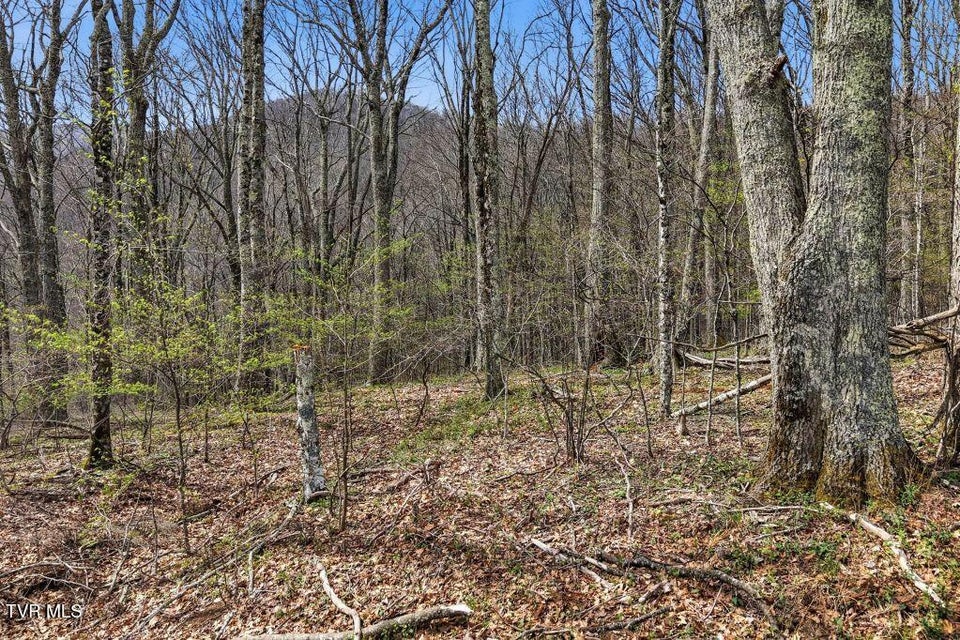 Photo #8: Tbd Log Cabin Lane