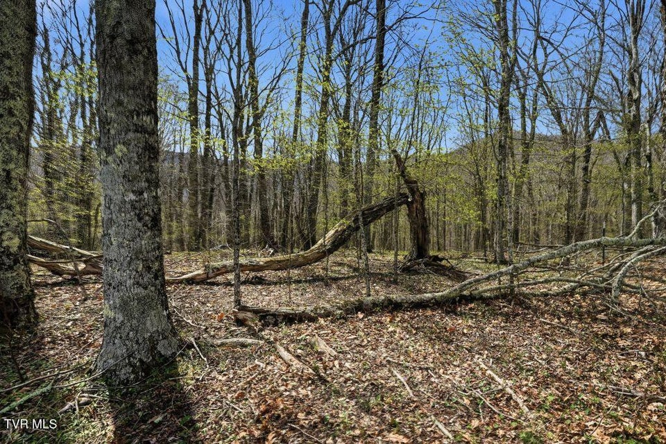 Photo #9: Tbd Log Cabin Lane