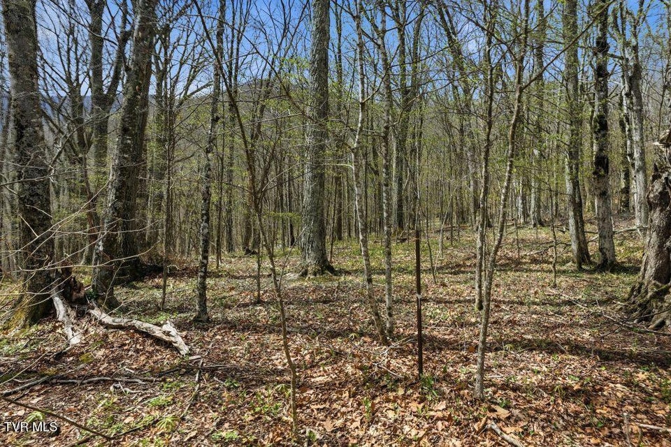 Photo #12: Tbd Log Cabin Lane