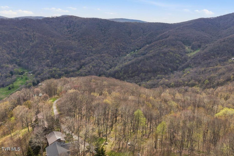 Photo #16: Tbd Log Cabin Lane