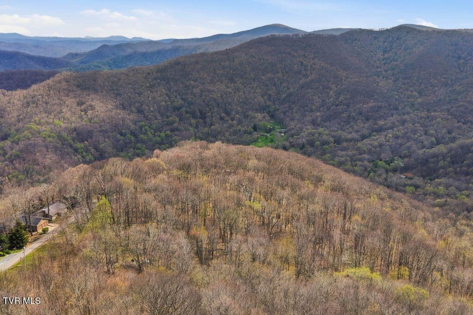 Photo #17: Tbd Log Cabin Lane