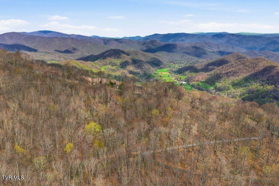 Photo #18: Tbd Log Cabin Lane