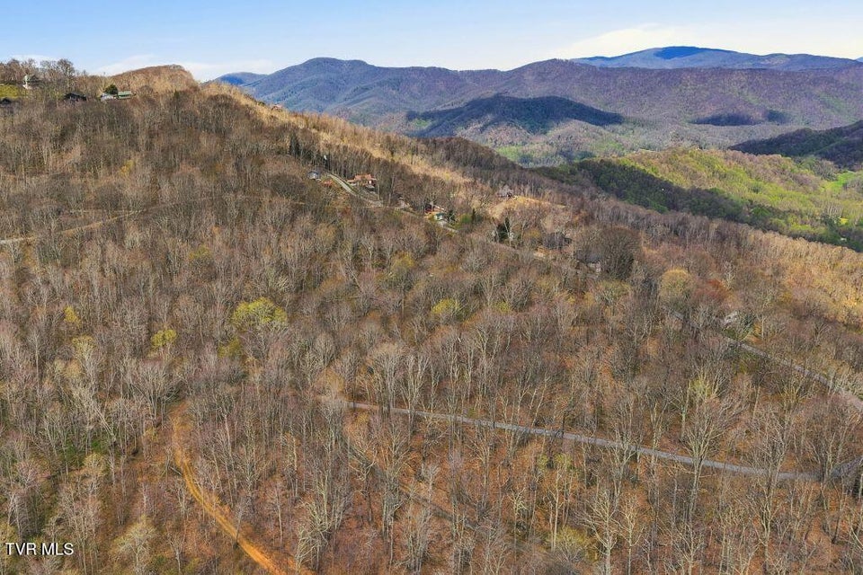 Photo #19: Tbd Log Cabin Lane