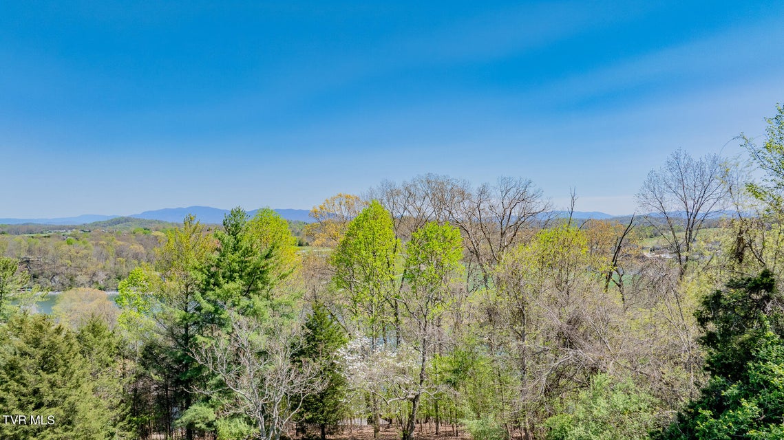 Photo #43: 185 Mcafee Bluff