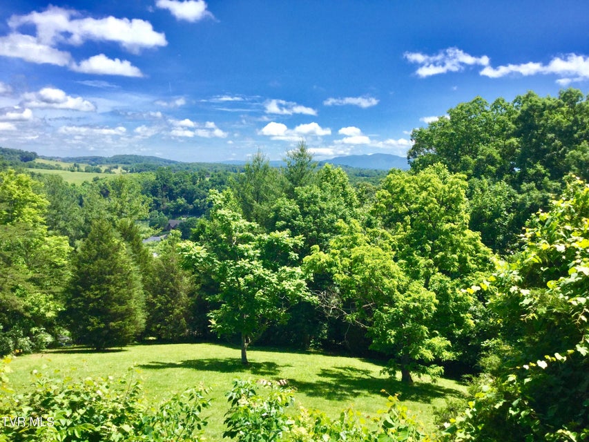 Photo #46: 185 Mcafee Bluff