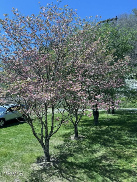 Photo #7: 90 Railroad Avenue