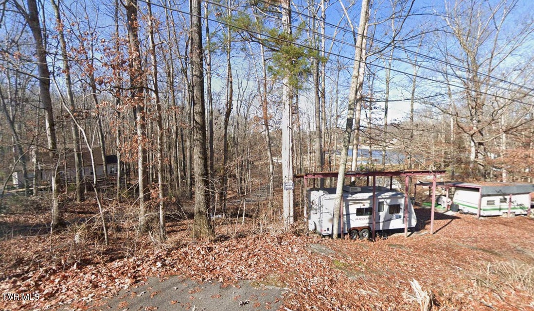 Photo #3: 0 Snyder Drive