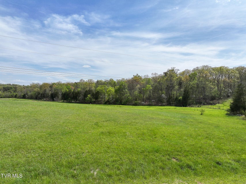 Photo #46: 815 Flatwoods Road