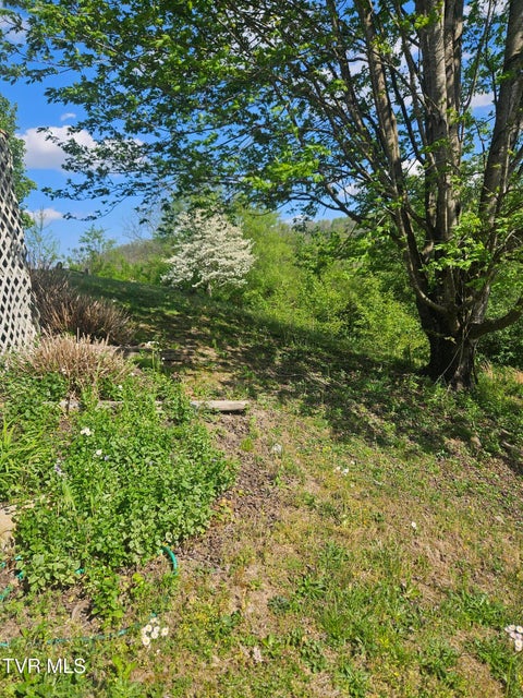 Photo #6: 150 Tyrone Street