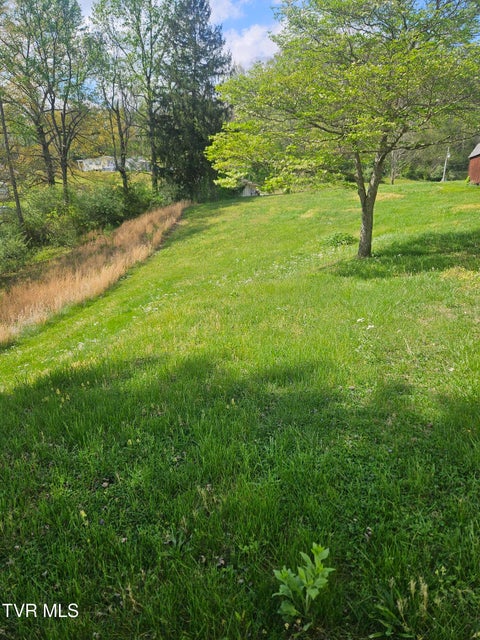 Photo #43: 150 Tyrone Street