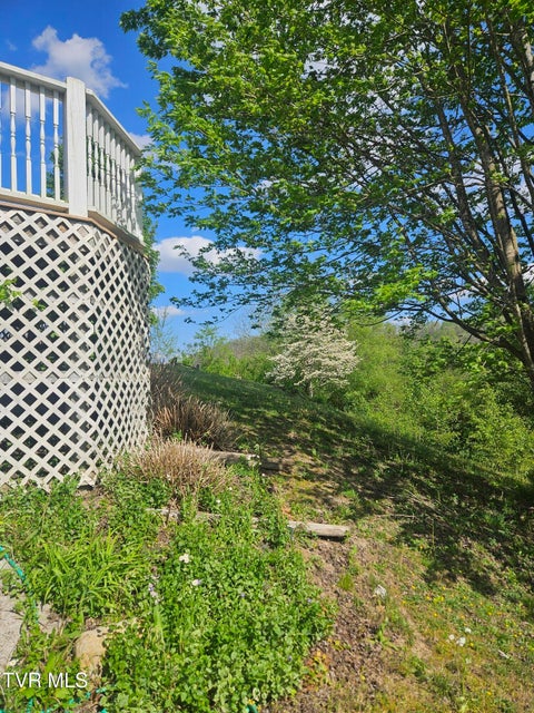 Photo #7: 150 Tyrone Street