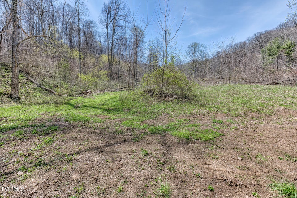 Photo #63: 119 & 111 Hughes Hollow 