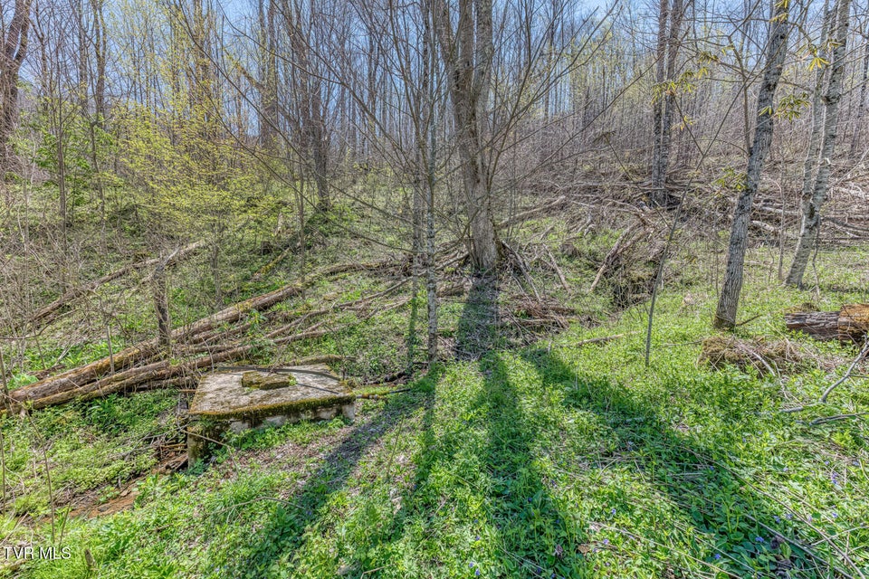 Photo #65: 119 & 111 Hughes Hollow 