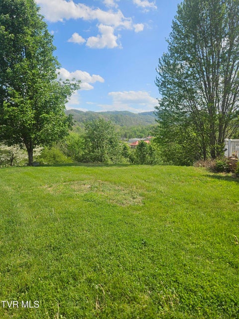 Photo #42: 150 Tyrone Street