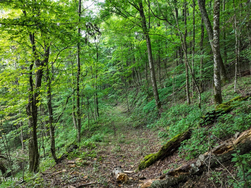 Photo #8: 000 Sylvan Way