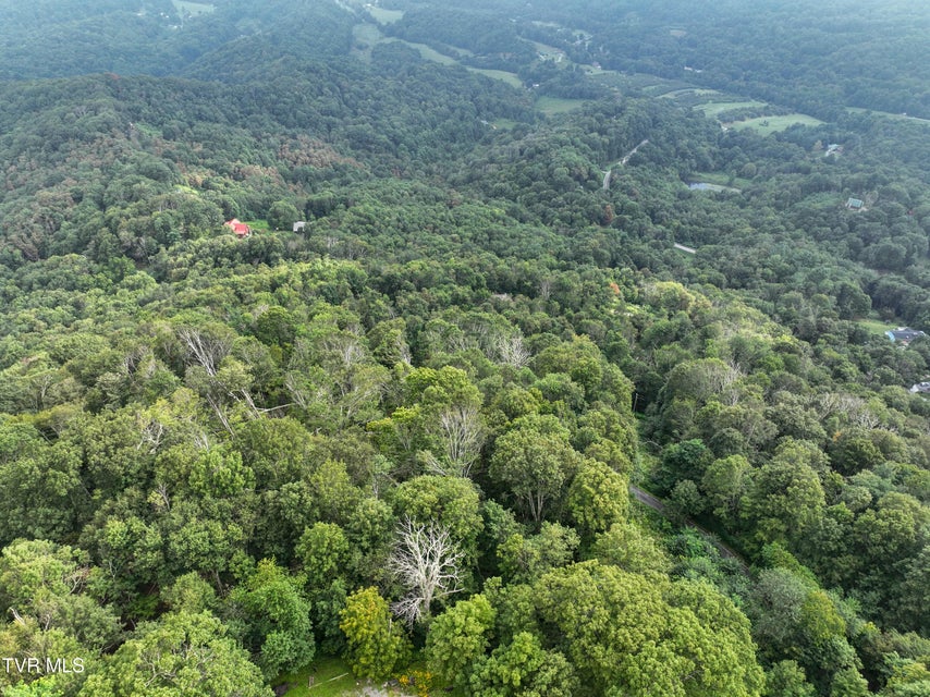 Photo #9: 000 Sylvan Way