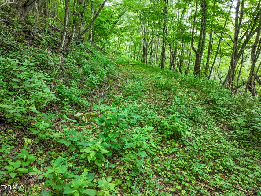 Photo #14: 000 Sylvan Way