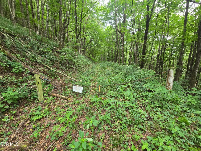 Photo #15: 000 Sylvan Way