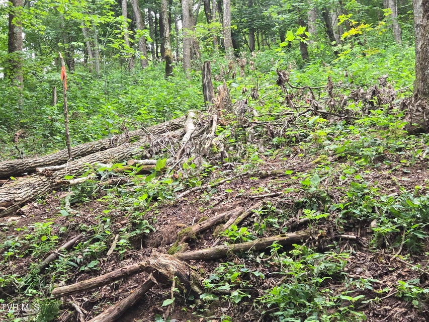 Photo #16: 000 Sylvan Way