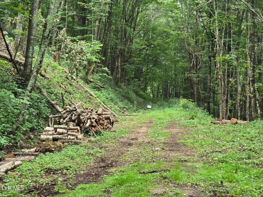 Photo #17: 000 Sylvan Way