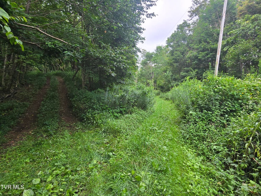 Photo #18: 000 Sylvan Way