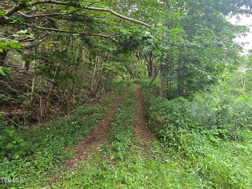 Photo #19: 000 Sylvan Way