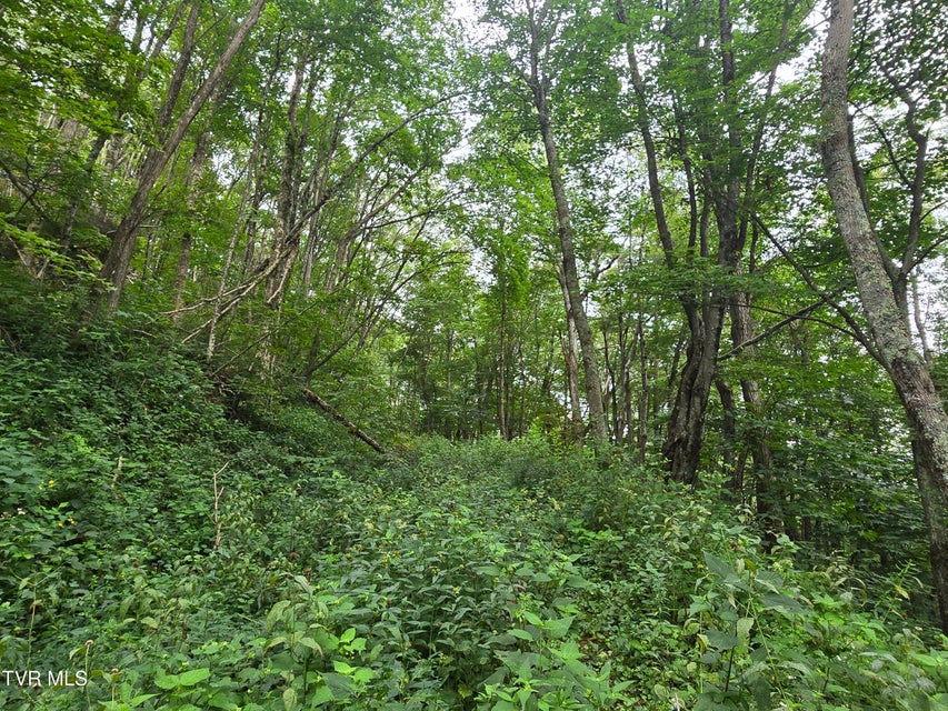 Photo #20: 000 Sylvan Way