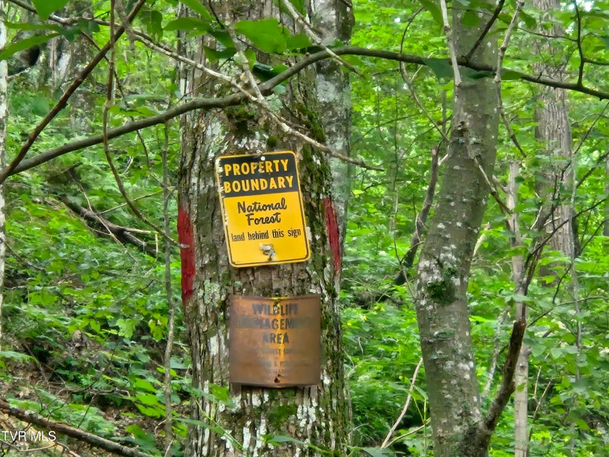 Photo #21: 000 Sylvan Way