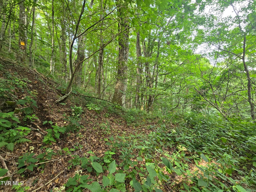 Photo #22: 000 Sylvan Way