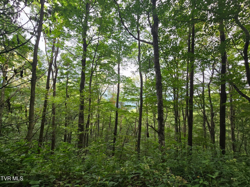 Photo #23: 000 Sylvan Way