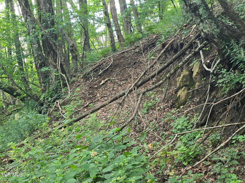 Photo #25: 000 Sylvan Way