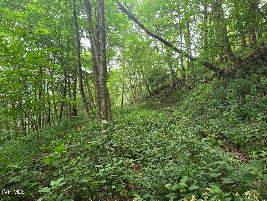 Photo #26: 000 Sylvan Way