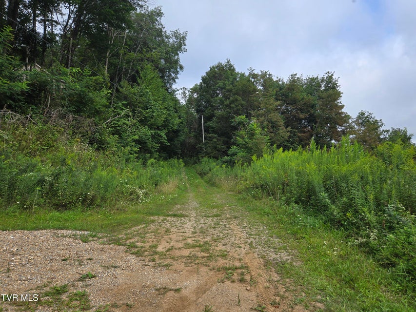 Photo #30: 000 Sylvan Way