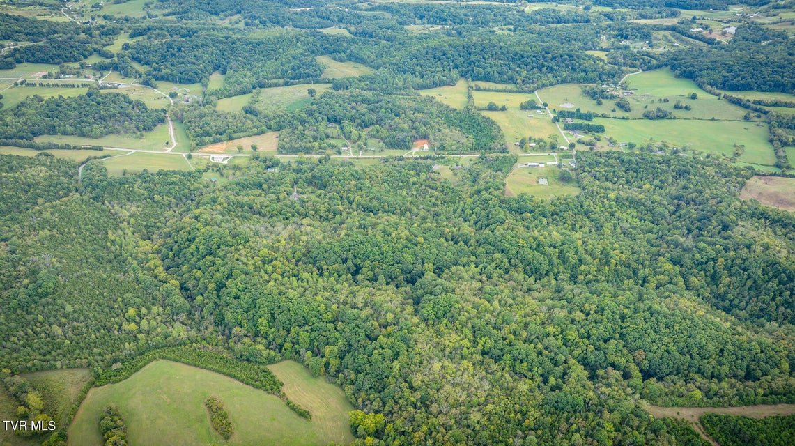 Photo #6: 6245 Baileyton Road