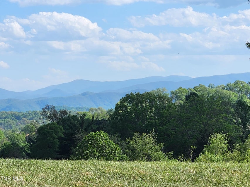 Photo #6: 1253 Skyline Drive
