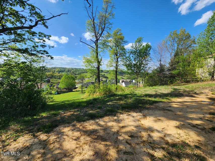 Photo #7: 1253 Skyline Drive