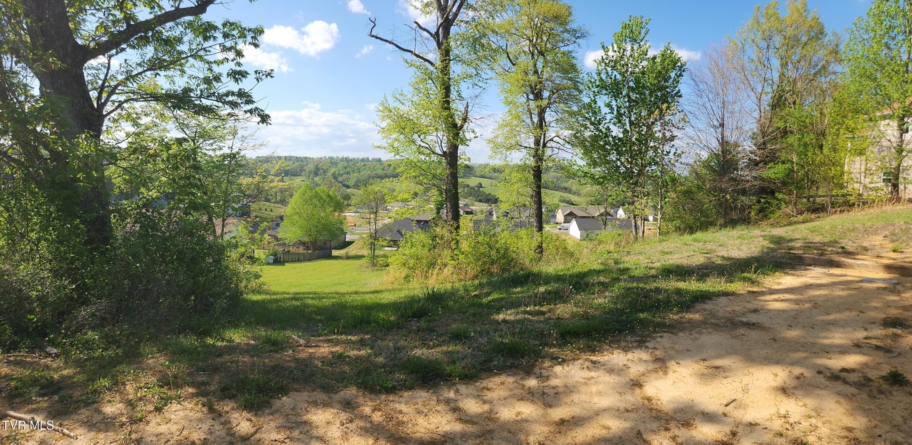 Photo #8: 1253 Skyline Drive