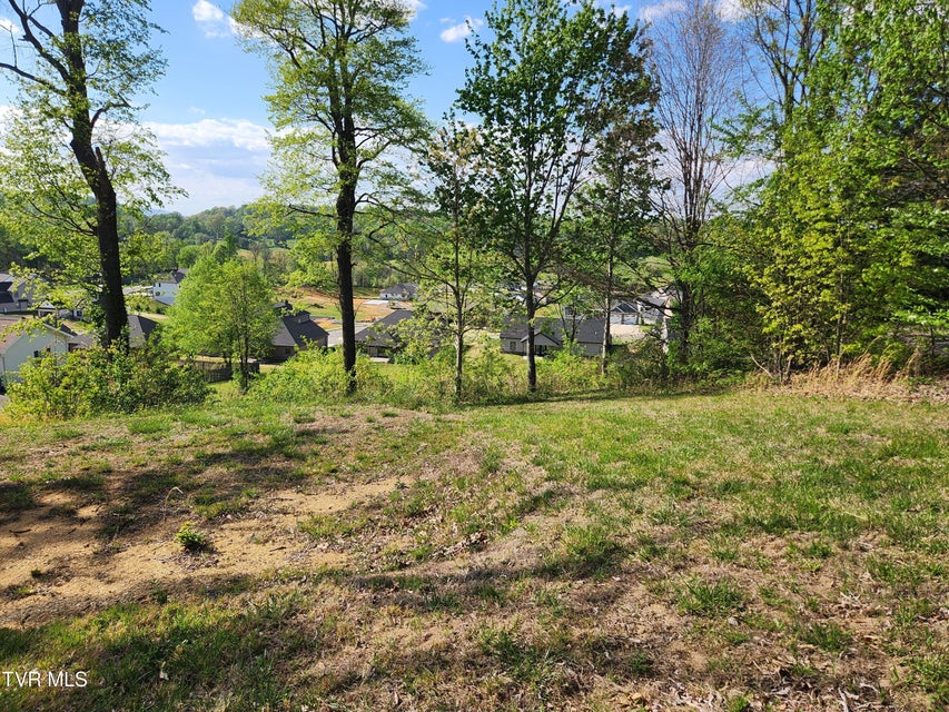 Photo #11: 1253 Skyline Drive
