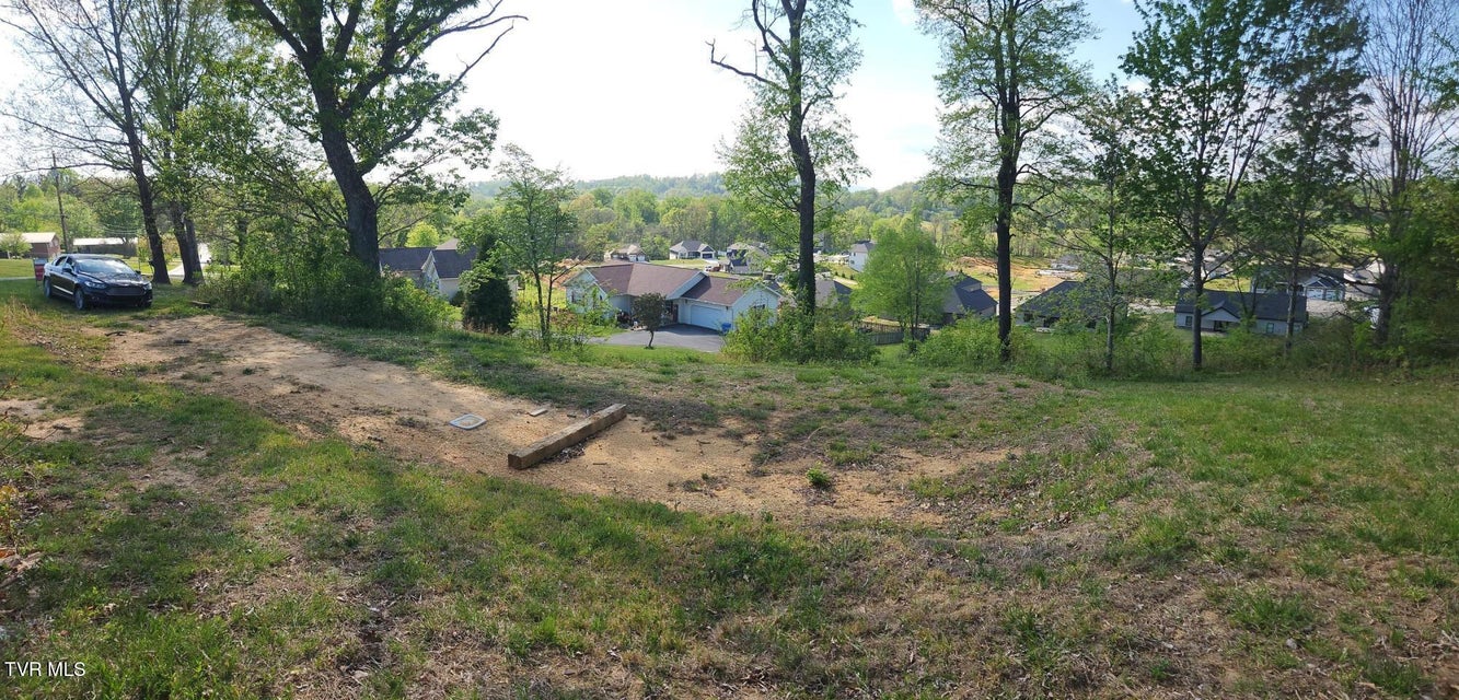 Photo #10: 1253 Skyline Drive