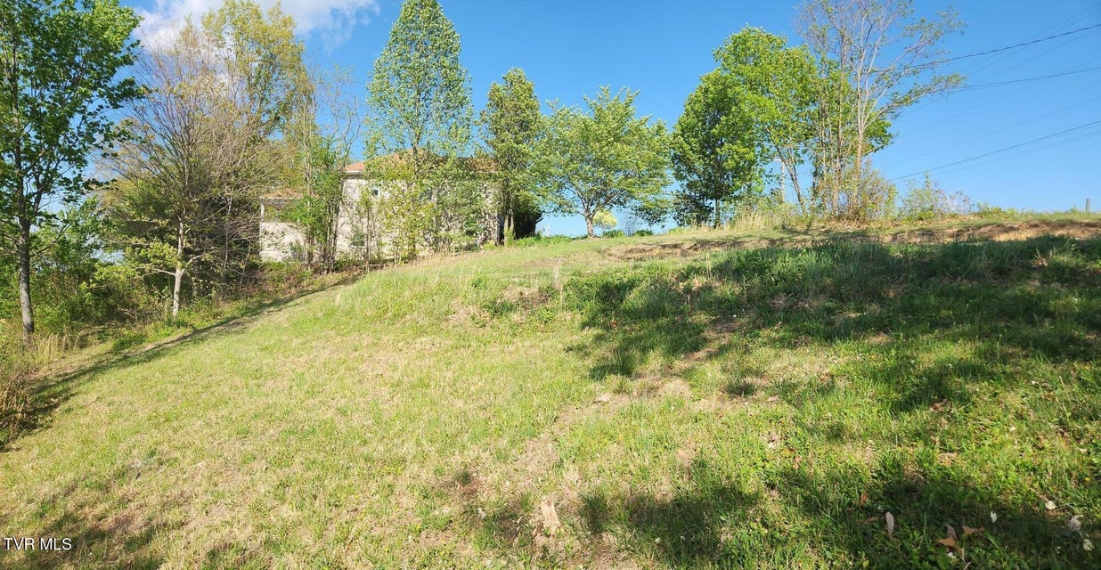 Photo #13: 1253 Skyline Drive