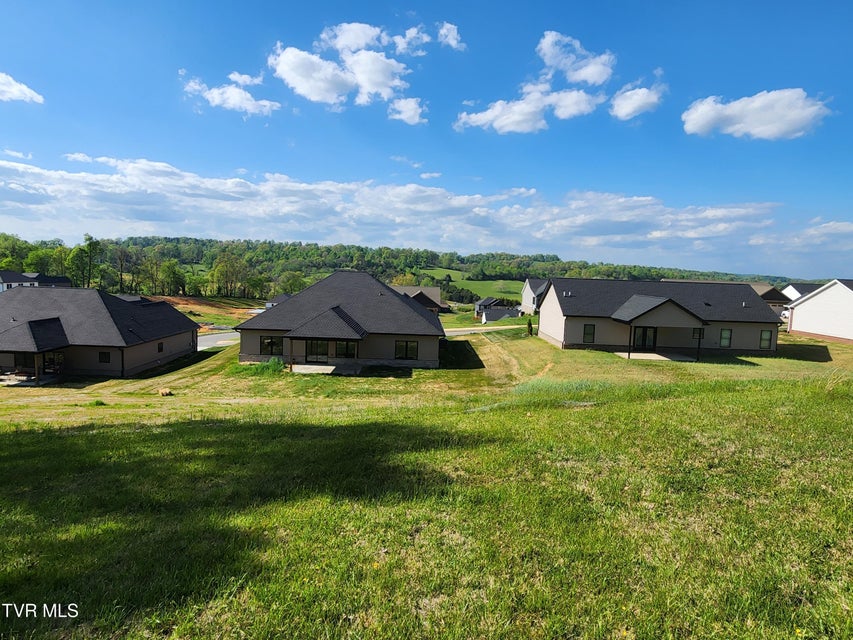 Photo #16: 1253 Skyline Drive