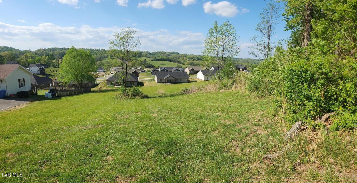 Photo #14: 1253 Skyline Drive