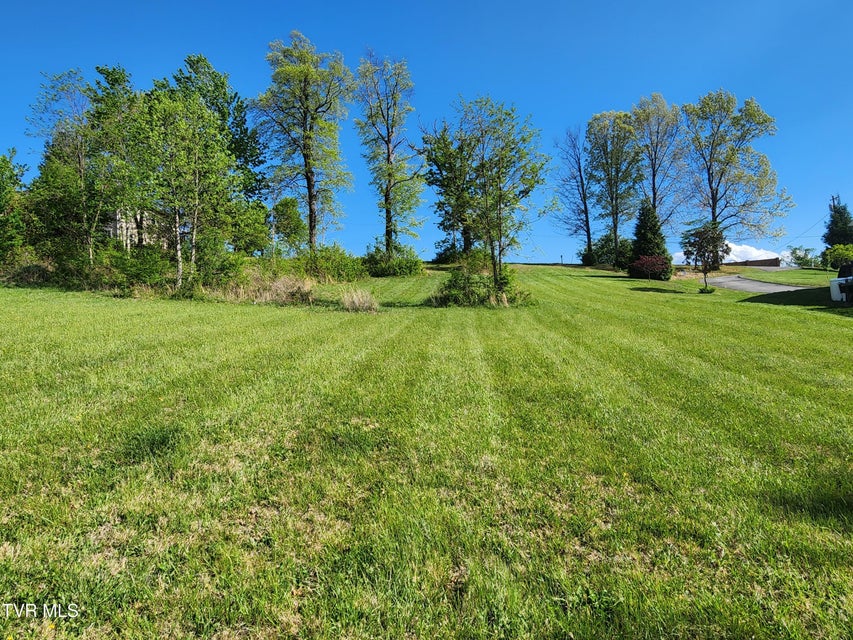Photo #18: 1253 Skyline Drive