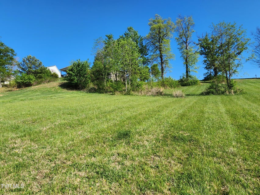 Photo #19: 1253 Skyline Drive
