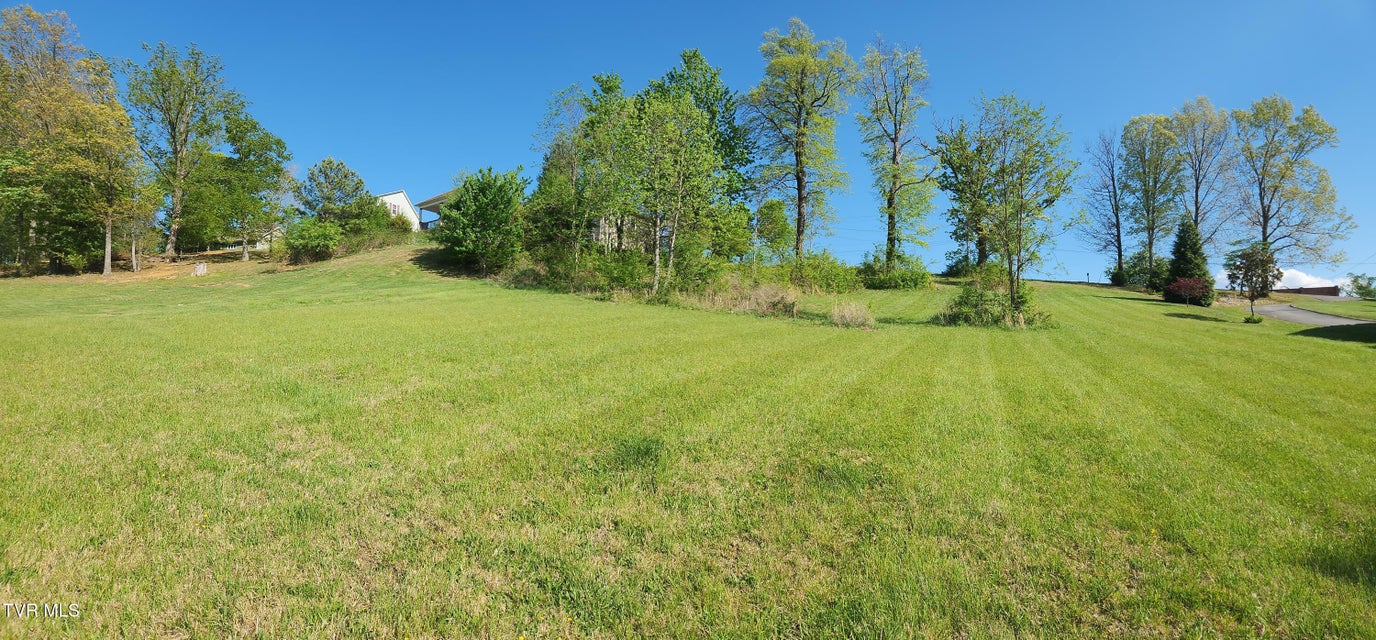 Photo #20: 1253 Skyline Drive