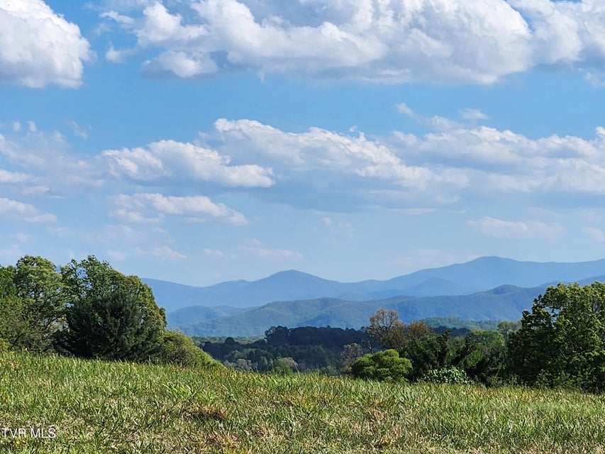 Photo #22: 1253 Skyline Drive