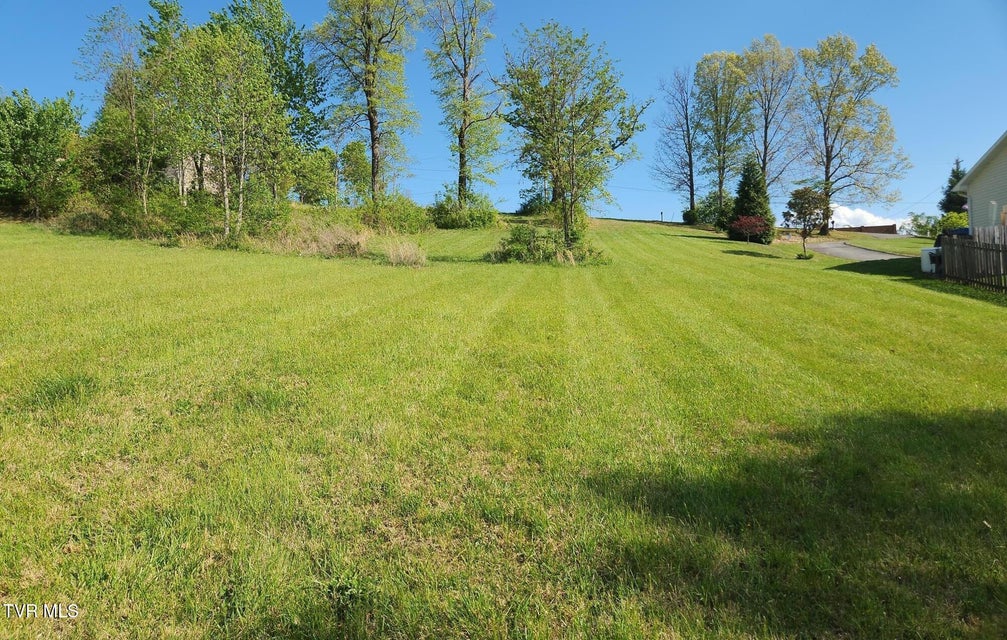 Photo #21: 1253 Skyline Drive