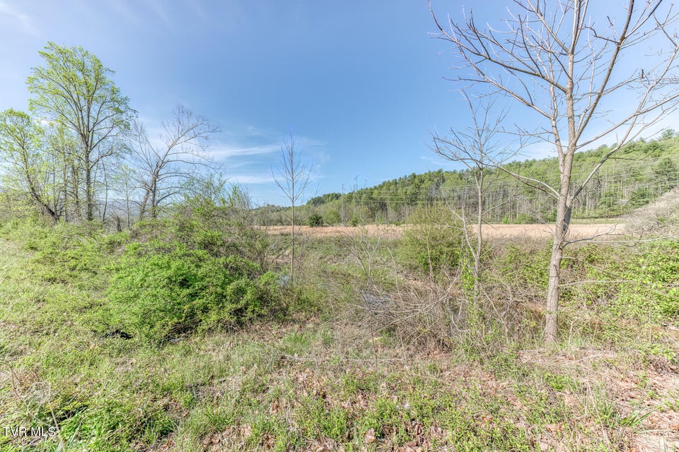 Photo #16: 00 Shady Street