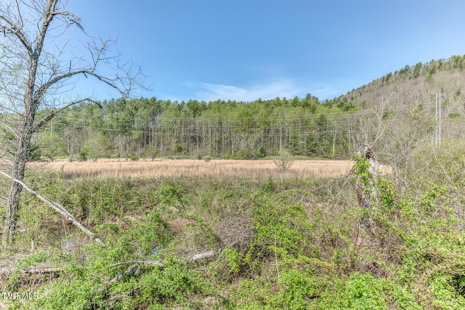 Photo #18: 00 Shady Street